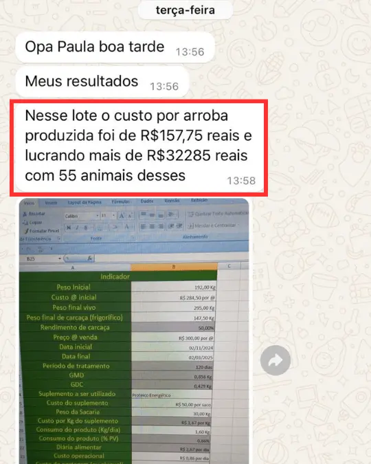 Depoimento de aluno EPL